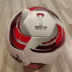 たなわさん専用　KELME AFC ASIAN CUP QATAR 2023