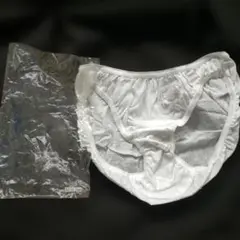 Item thumbnail for item eb734964-498d-4517-adc5-177b64926799