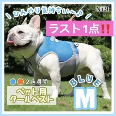 Item thumbnail for item 0965987d-ad9b-4bf2-ae50-08b7ba190218