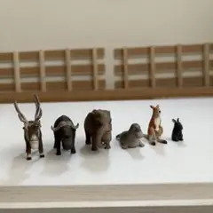 シャクレルプラネット 6体