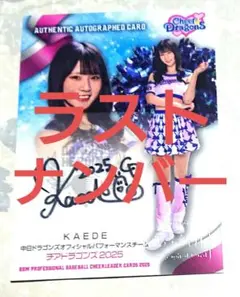 BBM チアリーダー チアドラゴンズ kaede 直筆 サイン カード チアドラ