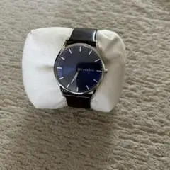 SKAGEN SKW6237ダークブルー 時計