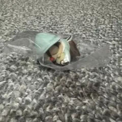 ディズニー デール まだねむたい3