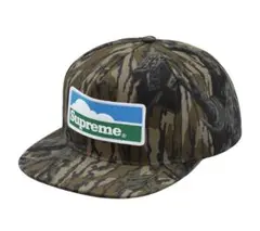 Item thumbnail for item 29138bdf-c23a-44de-9817-935f5c5513d6