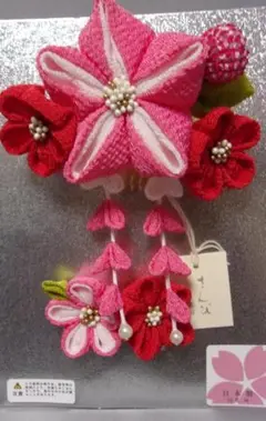 Item thumbnail for item e8372cf6-f3f1-4438-9baf-cca4dc18f2ce