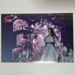 櫻坂46 守屋麗奈　4th Year アニラ　限定盤特典　ポストカード　桜月