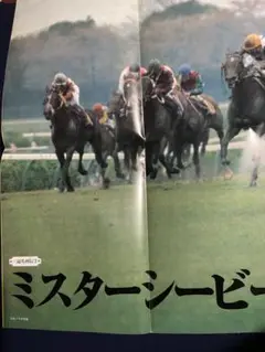 サラブレ　付録　ポスター　エアグルーヴ　ミスターシービー　11月号