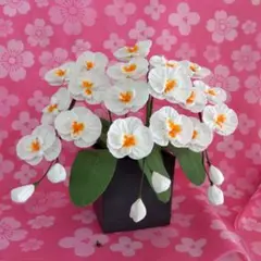 Item thumbnail for item 50a9f0b6-2079-42a8-912c-5b94d215ce9c