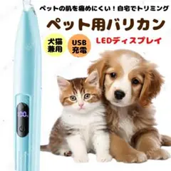 Item thumbnail for item 704a4d38-44ec-4a3f-981f-78b6f2b324cd