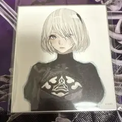 NieR ニーアオートマタ 消セナイ記録 2B 色紙 ①
