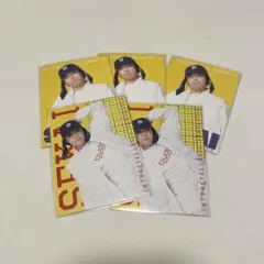 Item thumbnail for item 339e034f-017d-4cda-a2b8-4f8e0ce8a5ef