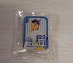 ☆横浜DeNAベイスターズ　入江大生選手　バッチ☆