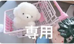 1専用