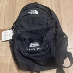 The north face Smalldayリュック