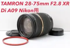 Item thumbnail for item 276b23e9-64c0-49c8-a9a9-4110690e83df