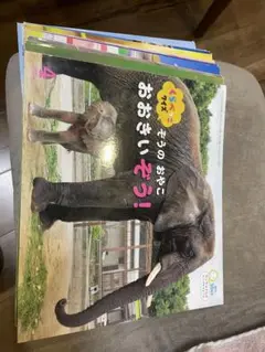 サンチャイルドビッグサイエンス 2021年度 12冊セット