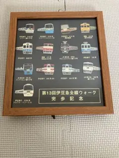 鉄道 伊豆急ピンバッチセット 2025年最新】伊豆急 ピンバッジの人気アイテム - メルカリ