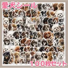 Item thumbnail for item f64d12dc-72e8-4d94-b49c-9b6db80bb6b5