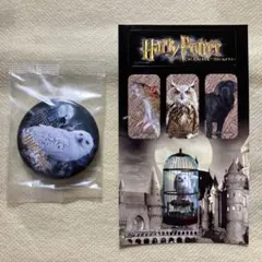 Harry Potter　ヘドウィグ　缶バッジ