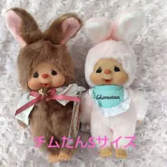 ✨新品✨ チムたん スウィートブラウン スタンダード Sサイズ ２個セット