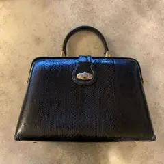 爬虫類バッグ