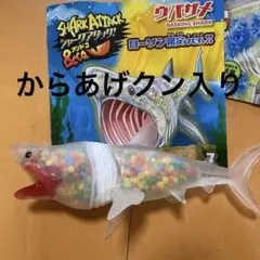 ウバザメ シャークアタック アンドコ