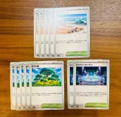 ポケモンカード 活力の森 なみのりビーチ ミステリーガーデン 12枚セット