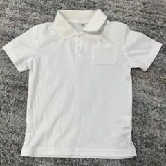 Item thumbnail for item 697170db-54e6-4e4c-a304-58e39d9863df