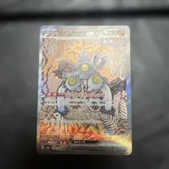 スナノケガワex SAR