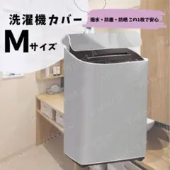 Item thumbnail for item 4930d23a-d26a-4bbd-9a34-25e62f4cbd89