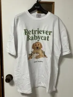 韓国　Tシャツ　ワイケイ