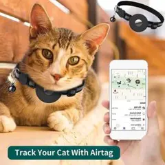 Item thumbnail for item 5d08b54f-349c-443f-8289-7a9a5d290623