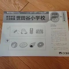 小学校受験 学芸大学附属世田谷小学校