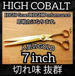 Item thumbnail for item 8a6d30a9-9e28-4972-b6f6-dab92b5a3ef3