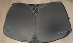 Item thumbnail for item 190ee86b-0ac7-4b3f-b89d-52a2232ce8e0