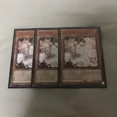 遊戯王　灰流うらら　ノーマル　3枚　安心メルカリ便