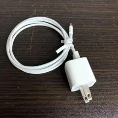 純正 Apple Lightningケーブル・USB充電器 A1385