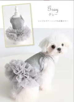 Item thumbnail for item ec53b182-07db-4699-b9b1-7dfc0b02dcb9