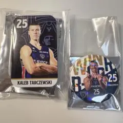 Item thumbnail for item 0ae89d22-a24b-4d3f-8dee-a659ad96afe2