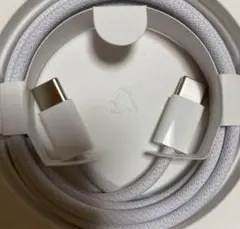 iPhone純正イヤホン付属品　タイプCtoCケーブル①