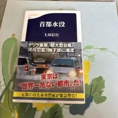 首都水没