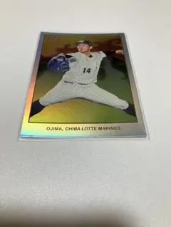 Item thumbnail for item c1c9cb20-7f22-4d3f-931f-b6bad5a87062