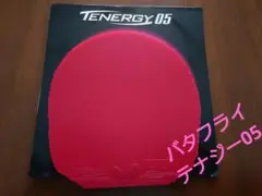 バタフライ テナジー05