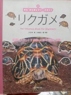 リクガメ The Vivarium Book For Beginners