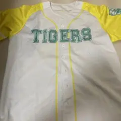 Item thumbnail for item 88a38eb4-337b-4873-9cba-98a445352637