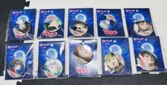 半妖の夜叉姫　缶バッジ　新品　全種類　匿名配送　コンプ
