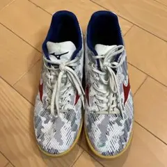 サッカーフットサルシューズ 26㎝