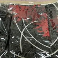 Item thumbnail for item 6f722633-e441-47c8-b0f1-dd451697d526