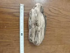 Item thumbnail for item 095c77d3-7168-4b34-be5a-c0a04794268c