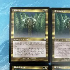 ✴︎MTG 4枚 真の木立ち